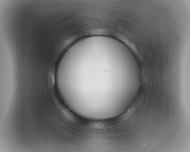 X0000112210062200908281508