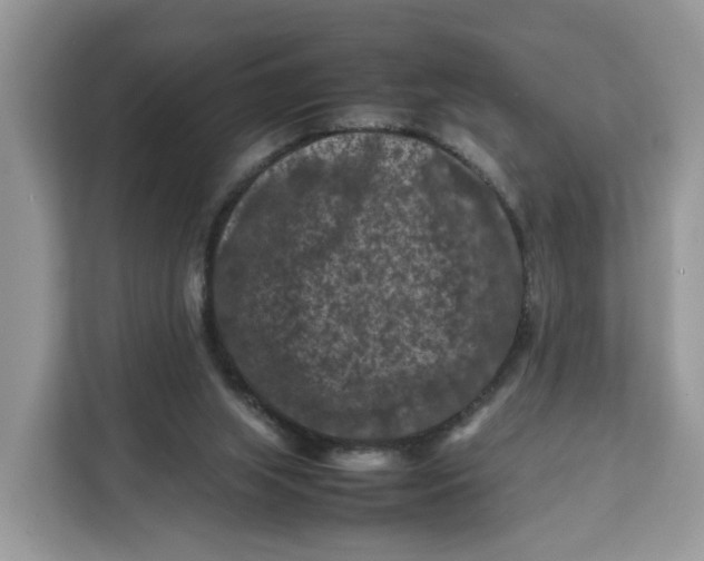 X0000112210063200908281508