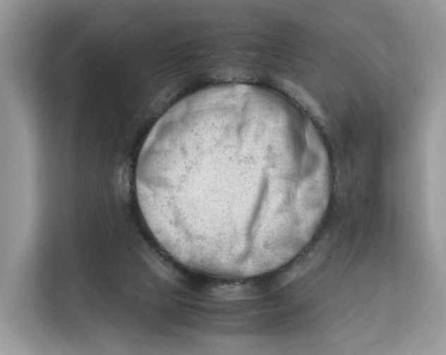 X0000112210065200908281508