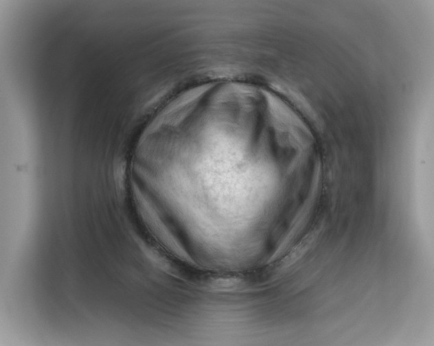 X0000112210066200908281508