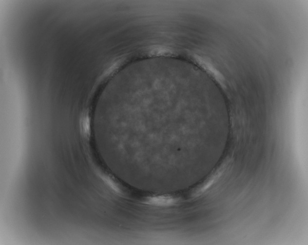 X0000112210067200908281508