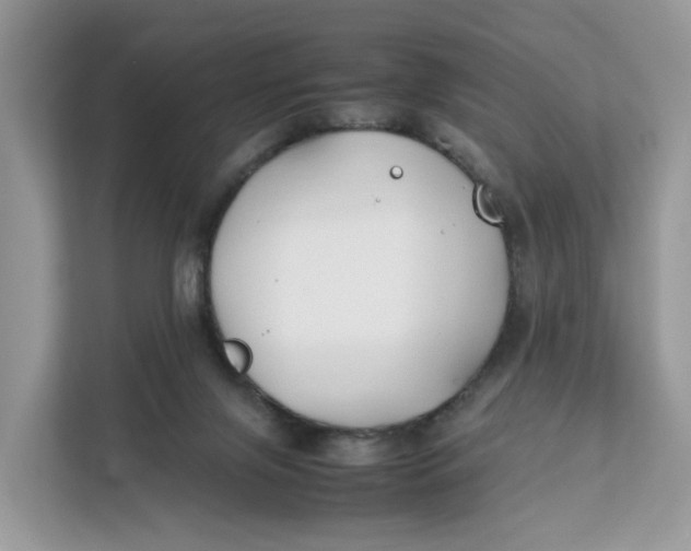 X0000112210071200908281508