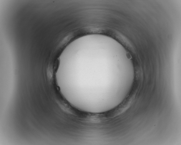 X0000112210072200908281508