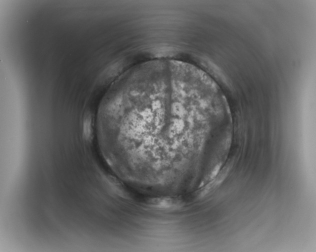 X0000112210074200908281508