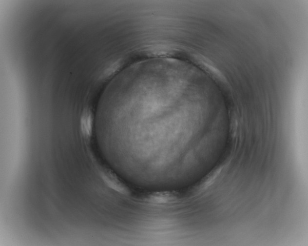 X0000112210076200908281508