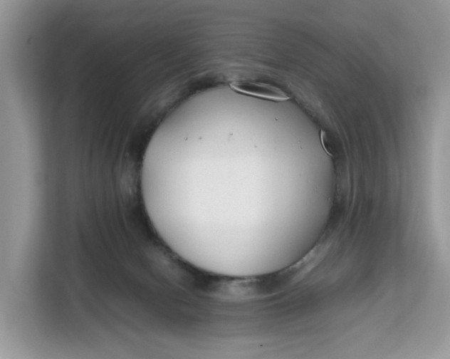 X0000112210078200908281508