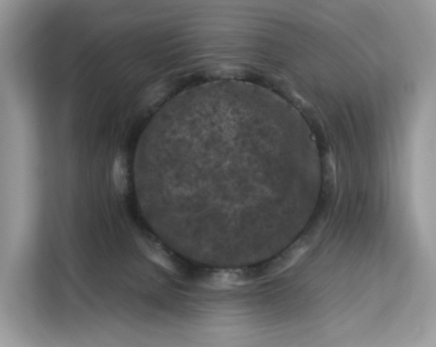 X0000112210080200908281508