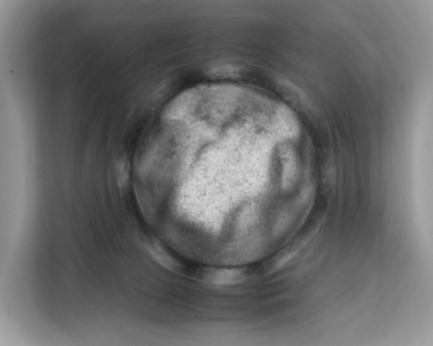 X0000112210081200908281508