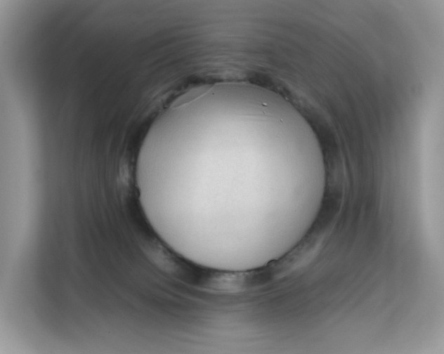 X0000112210084200908281508