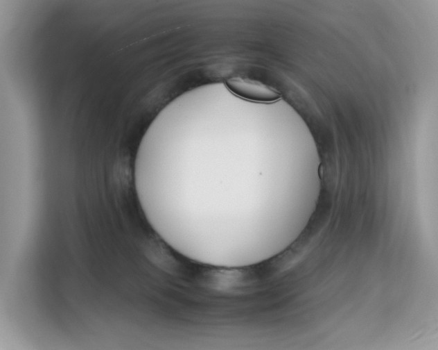 X0000112210085200908281508