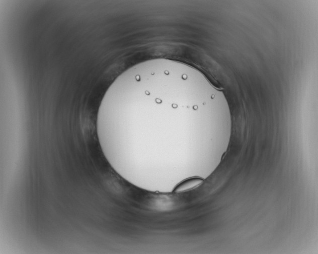 X0000112210091200908281508
