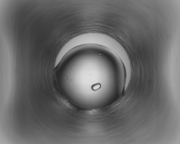X0000112210092200908281508