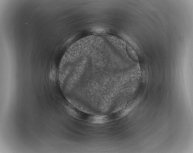 X0000112210093200908281508