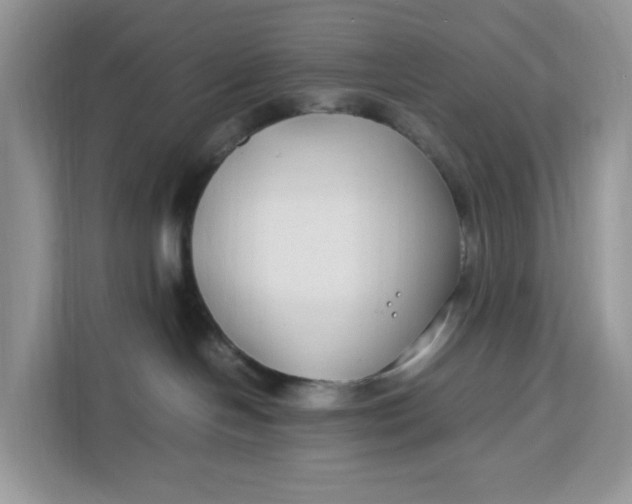 X0000112210094200908281508