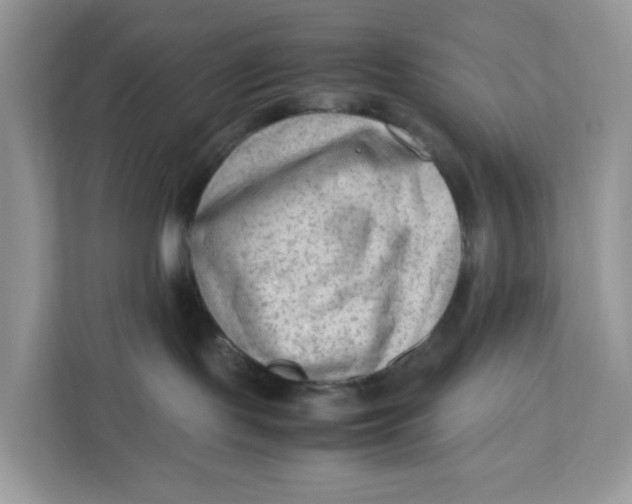 X0000112210095200908281508