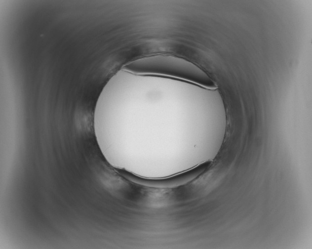 X0000112210096200908281508