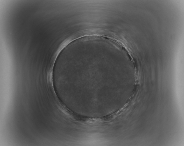 X0000112210099200908281508