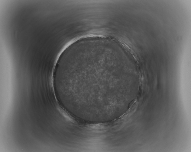 X0000112210100200908281508