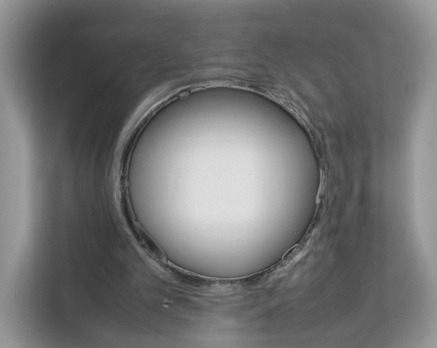 X0000112210101200908281508
