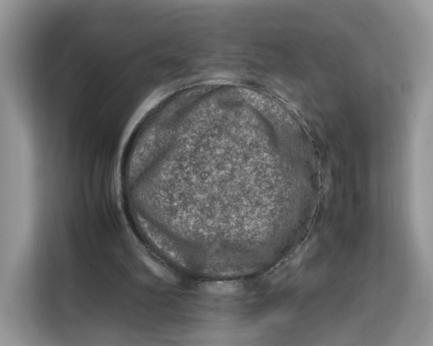 X0000112210102200908281508