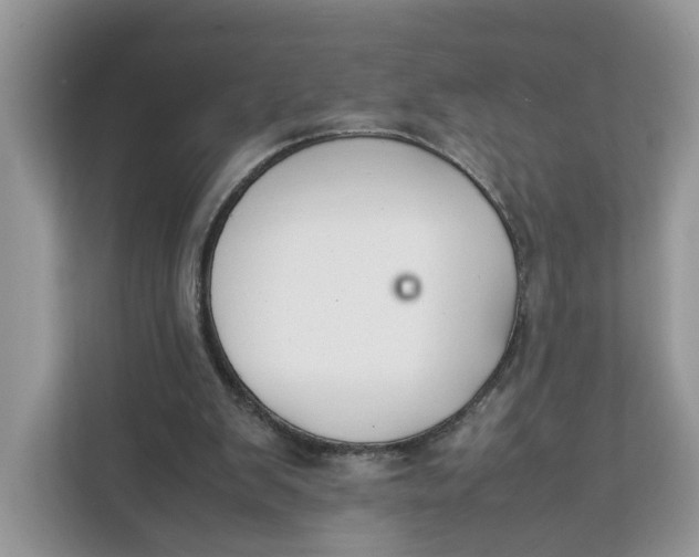 X0000112210103200908281508