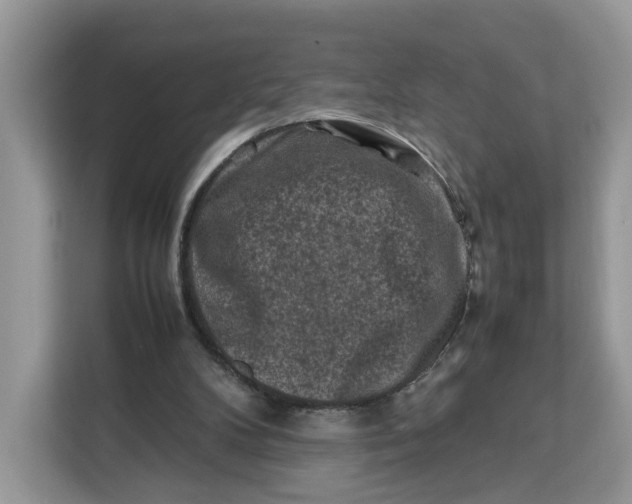 X0000112210104200908281508