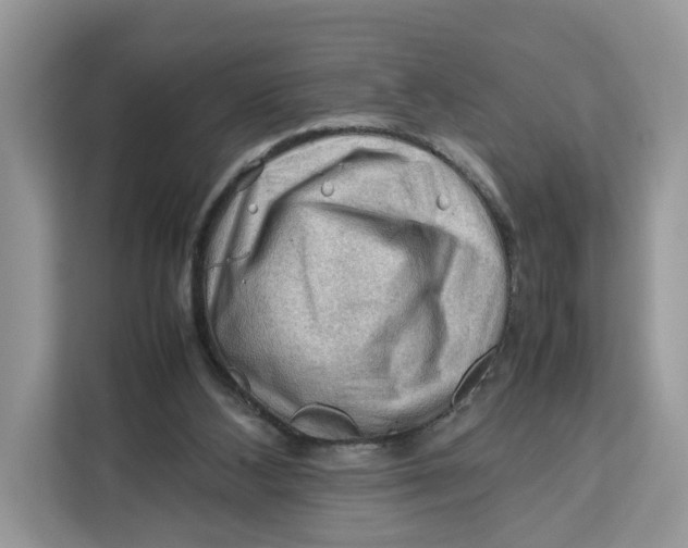 X0000112210108200908281508