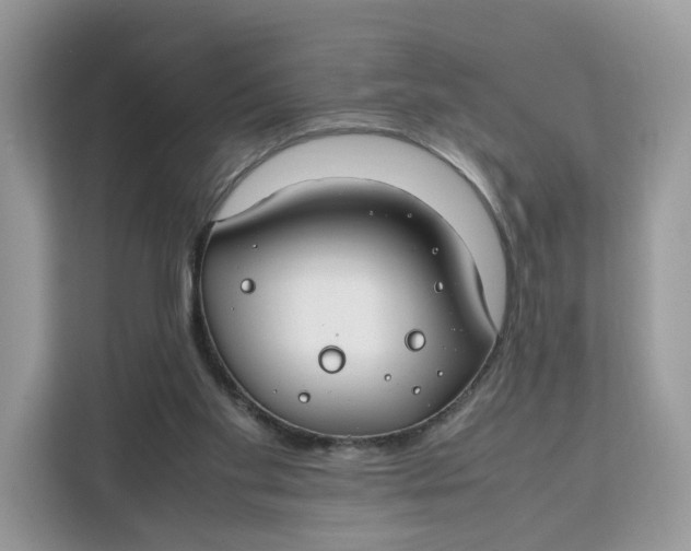 X0000112210109200908281508