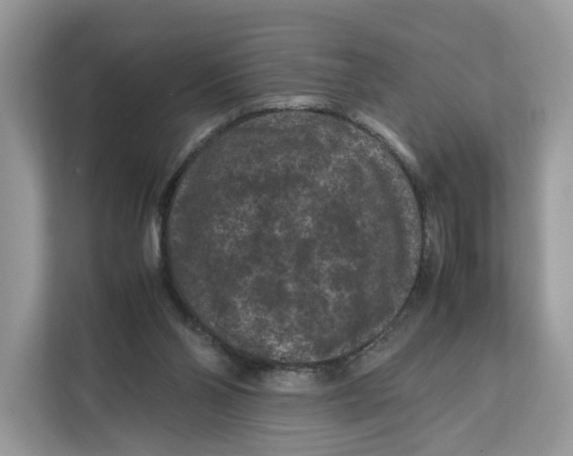 X0000112210110200908281508