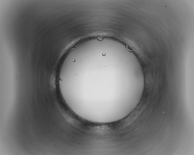 X0000112210112200908281508