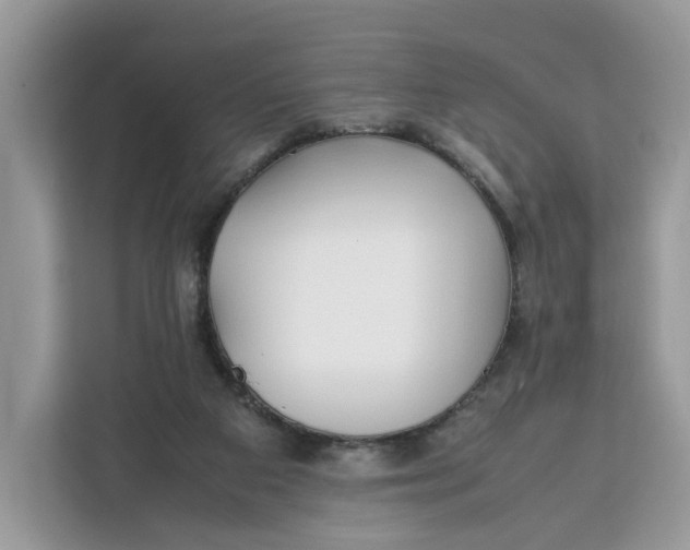 X0000112210113200908281508