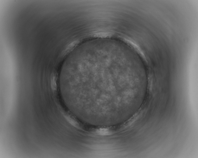 X0000112210114200908281508