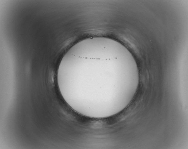 X0000112210115200908281508