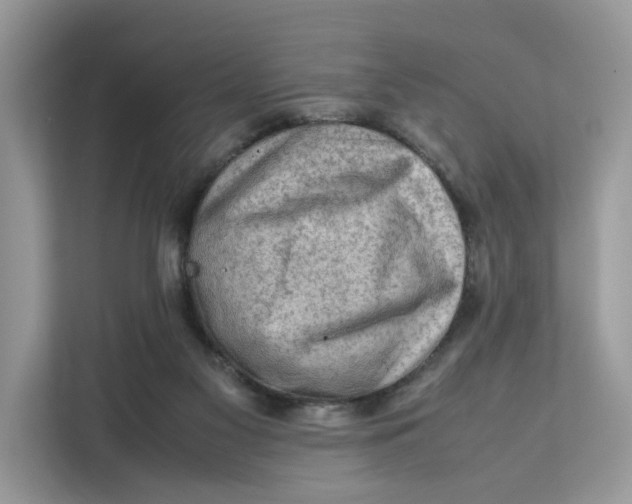 X0000112210117200908281508