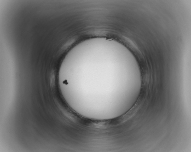 X0000112210120200908281507