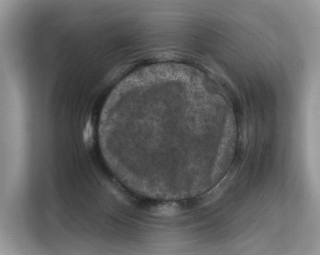 X0000112210124200908281507