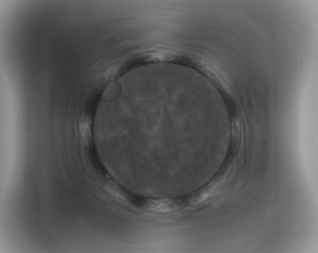 X0000112210127200908281507