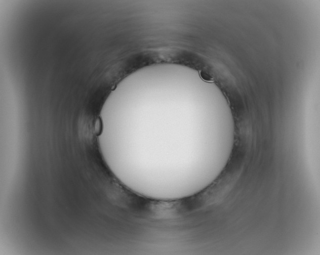 X0000112210129200908281507
