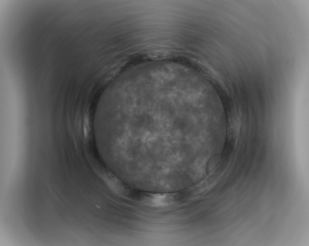 X0000112210130200908281507