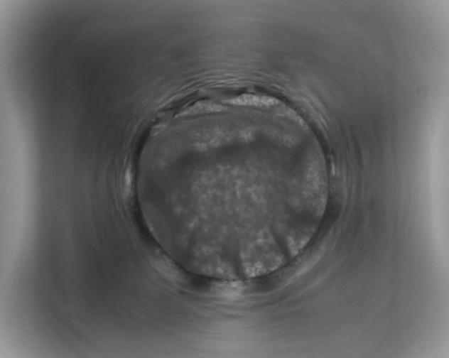 X0000112210131200908281507