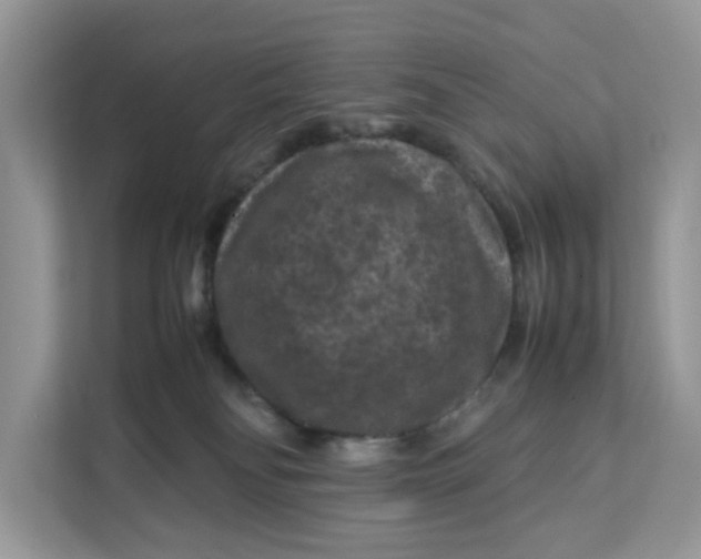 X0000112210134200908281507
