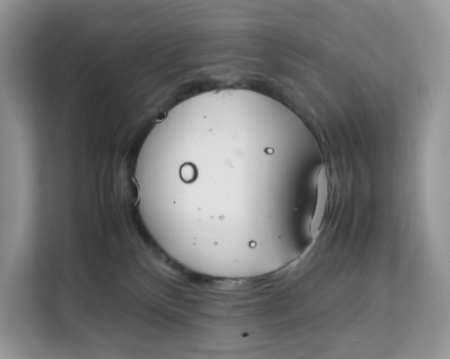X0000112210136200908281507