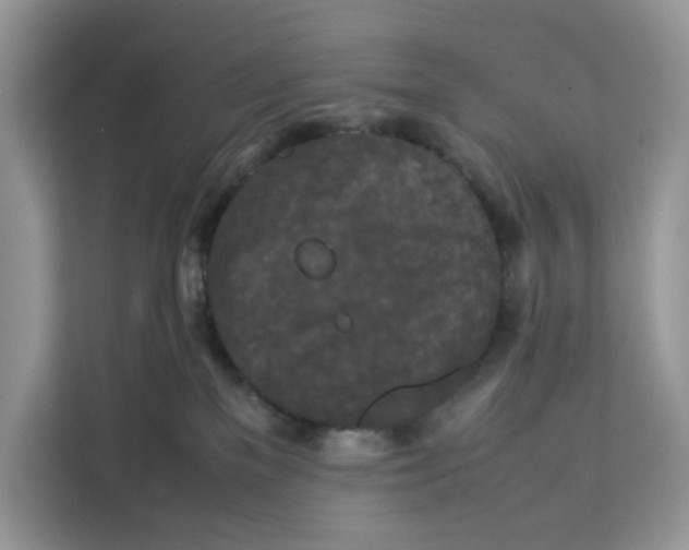 X0000112210137200908281507