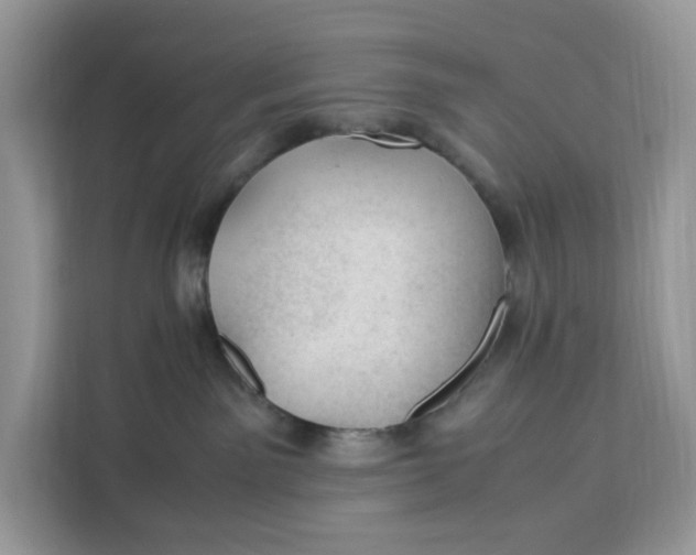 X0000112210141200908281507