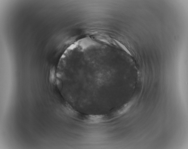 X0000112210143200908281507