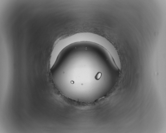 X0000112210144200908281507