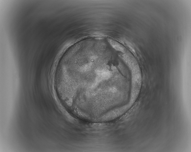 X0000112210145200908281507