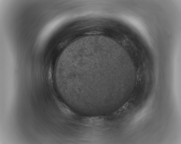 X0000112210146200908281507