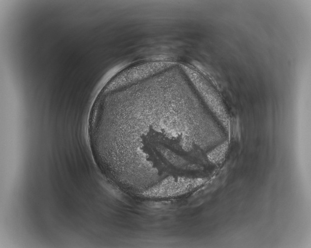 X0000112210147200908281507