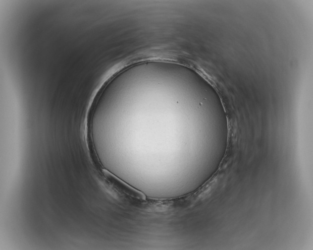 X0000112210148200908281507
